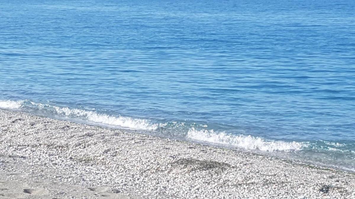 To Giouli Hotel Volos Eksteriør billede